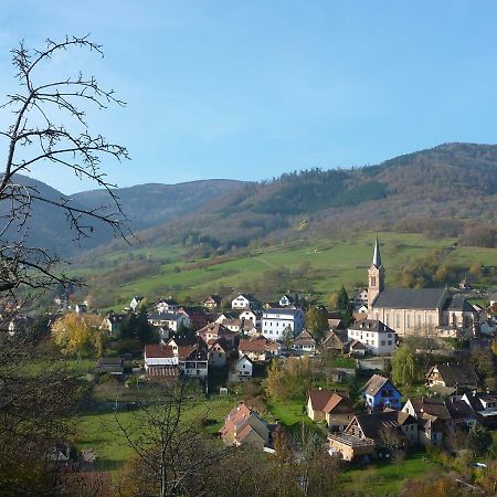 Gite Schlitteur Et Sapiniere Breitenbach Exterior photo