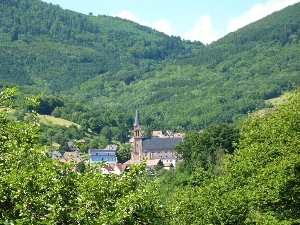 Gite Schlitteur Et Sapiniere Breitenbach Exterior photo