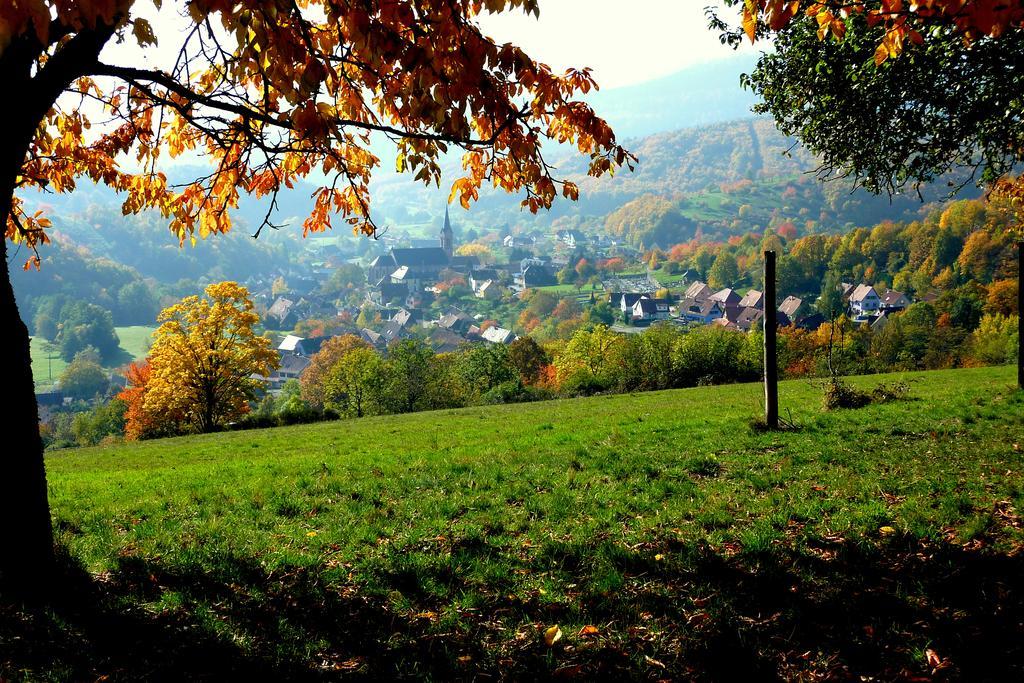 Gite Schlitteur Et Sapiniere Breitenbach Exterior photo