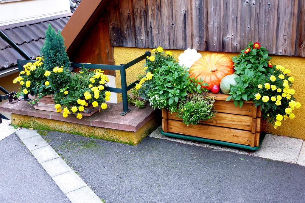 Gite Schlitteur Et Sapiniere Breitenbach Exterior photo