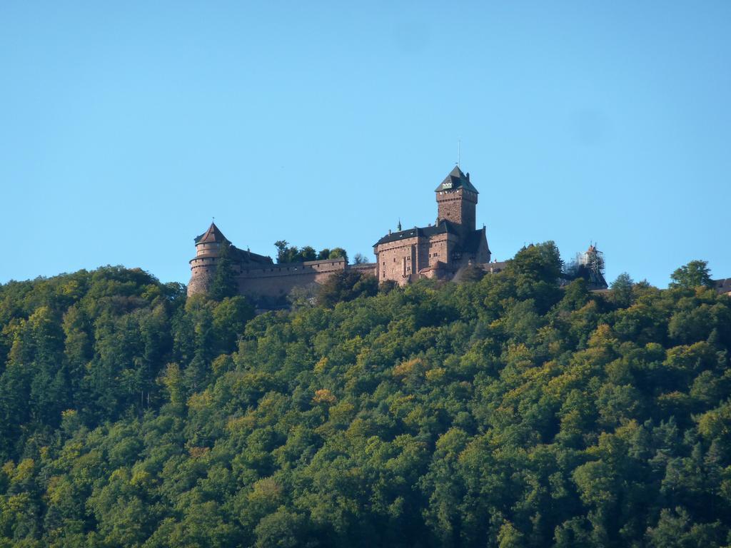 Gite Schlitteur Et Sapiniere Breitenbach Exterior photo