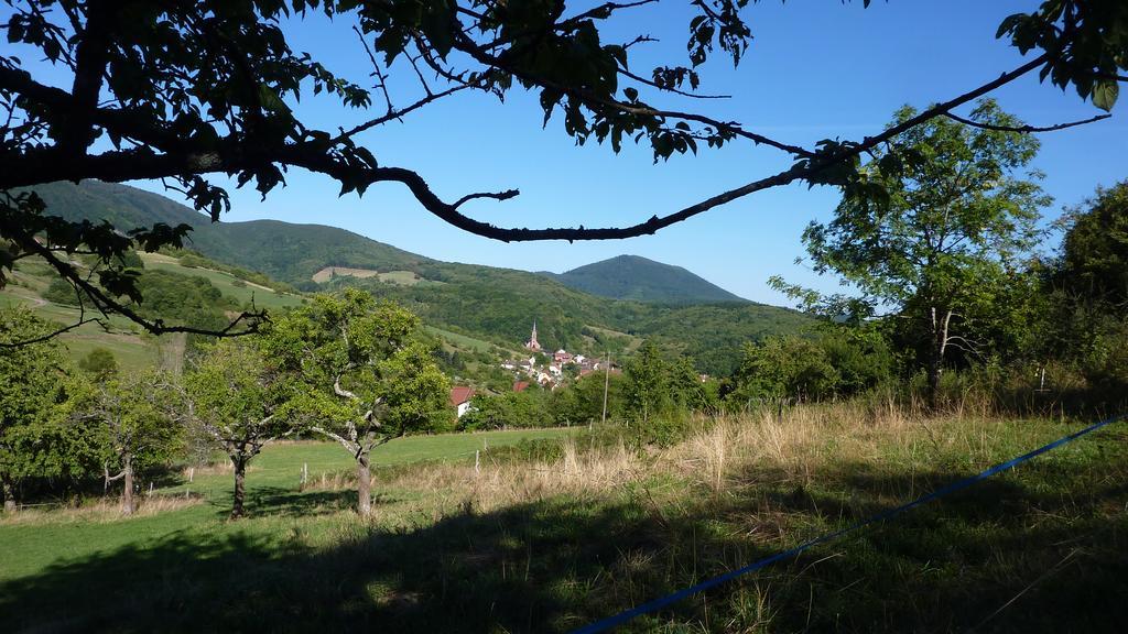 Gite Schlitteur Et Sapiniere Breitenbach Exterior photo