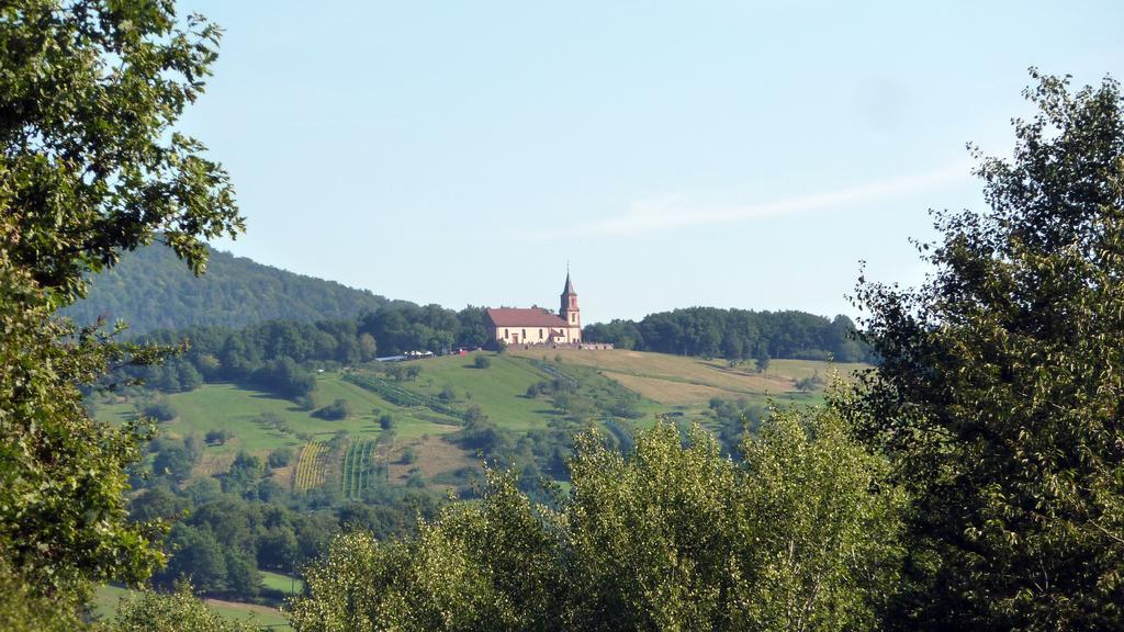 Gite Schlitteur Et Sapiniere Breitenbach Exterior photo