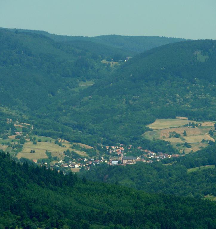 Gite Schlitteur Et Sapiniere Breitenbach Exterior photo