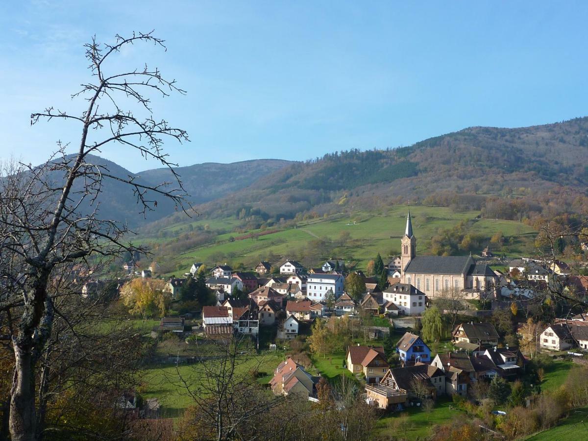 Gite Schlitteur Et Sapiniere Breitenbach Exterior photo