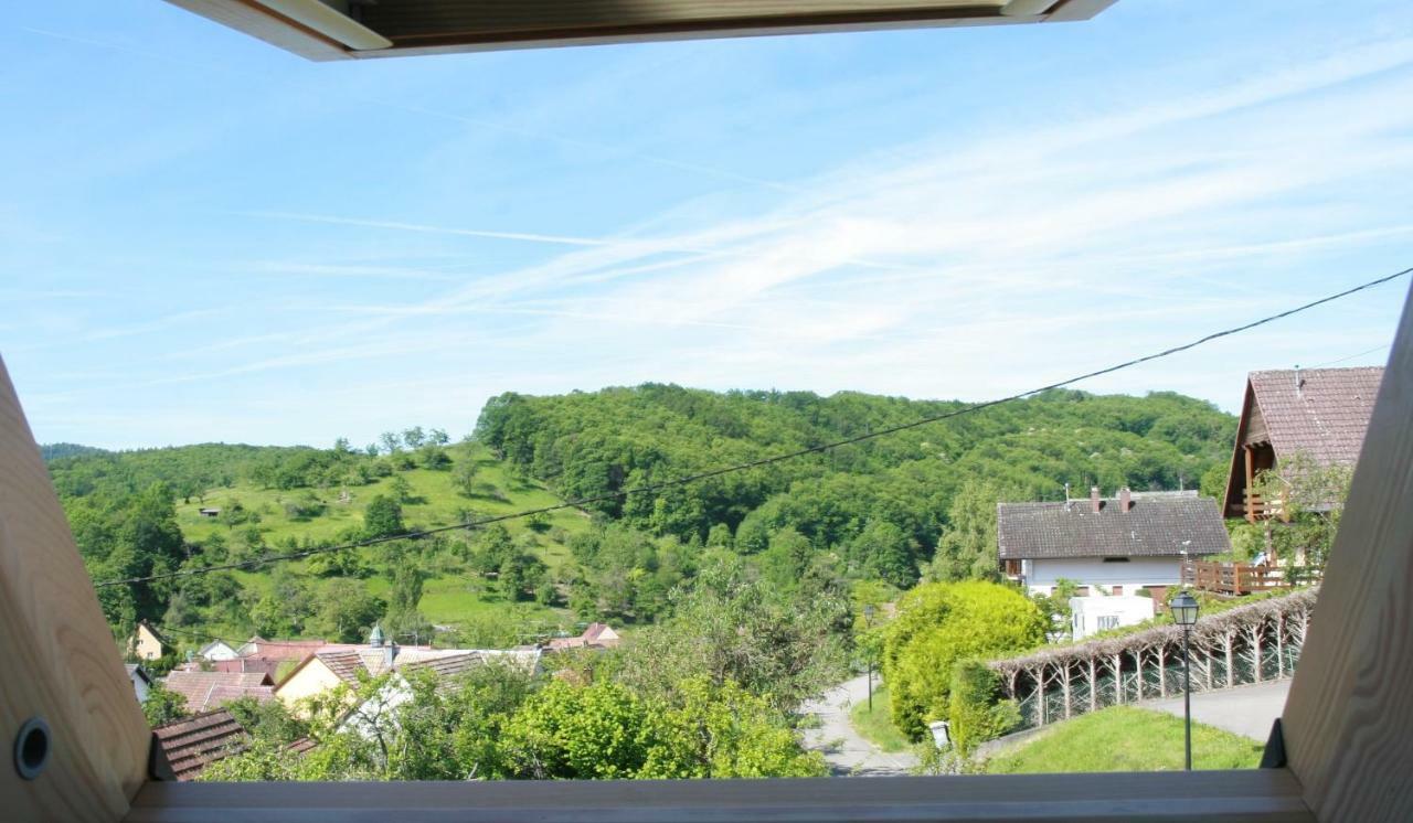 Gite Schlitteur Et Sapiniere Breitenbach Exterior photo