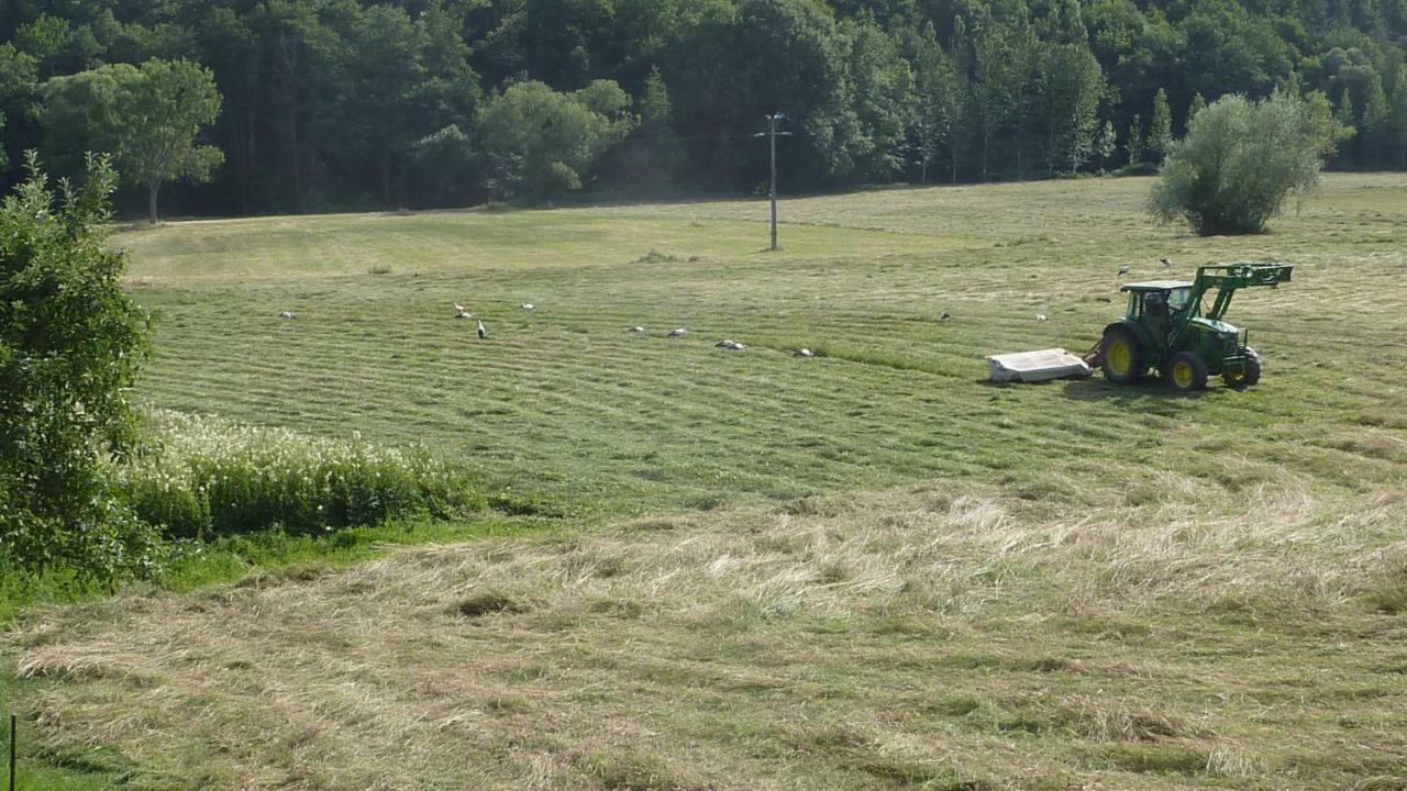 Gite Schlitteur Et Sapiniere Breitenbach Exterior photo