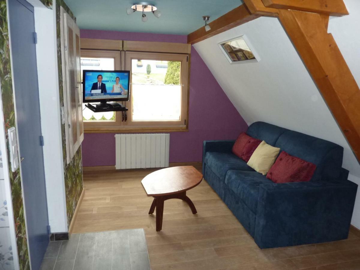 Gite Schlitteur Et Sapiniere Breitenbach Exterior photo