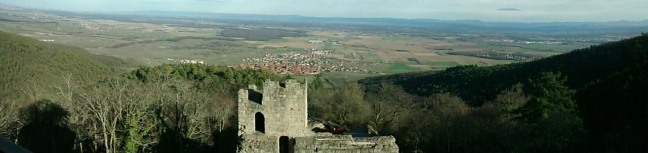 Gite Schlitteur Et Sapiniere Breitenbach Exterior photo